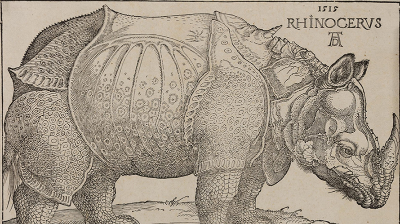 ALBRECHT DÜRER | THE COMPLETE REMONDINI’S COLLECTION
